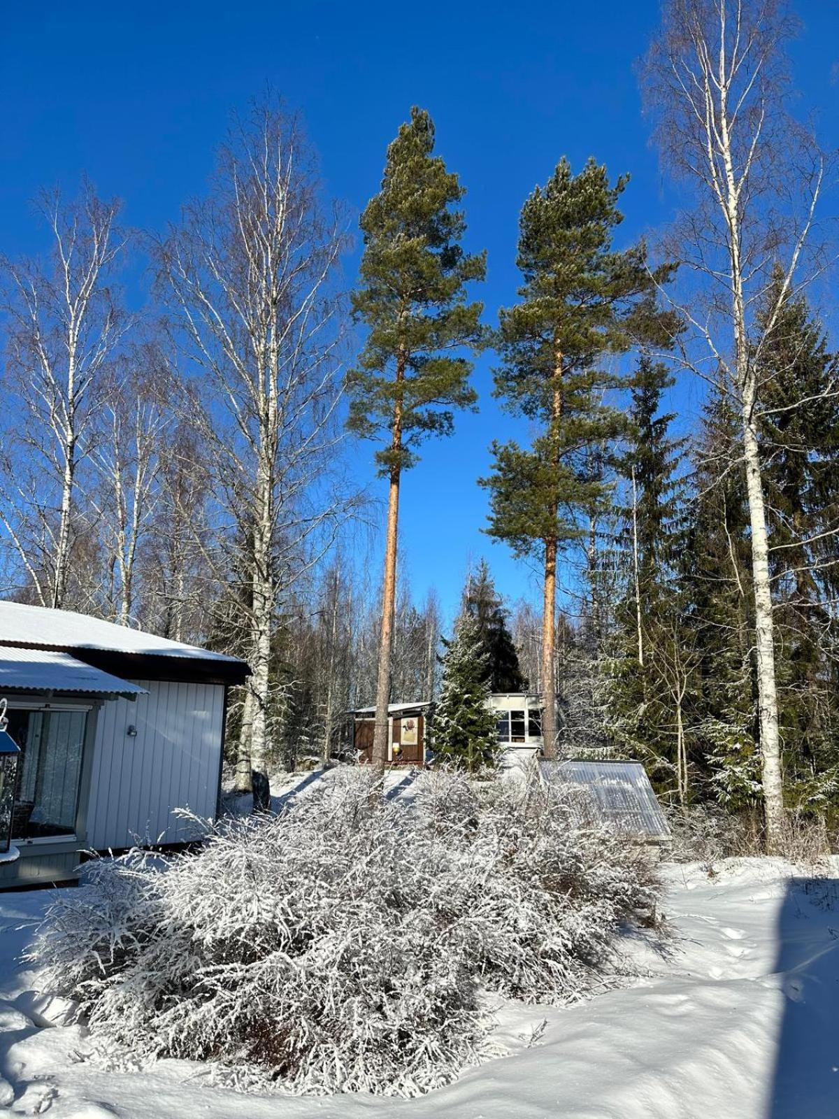 Cottage Viardo Vehkataipale Номер фото